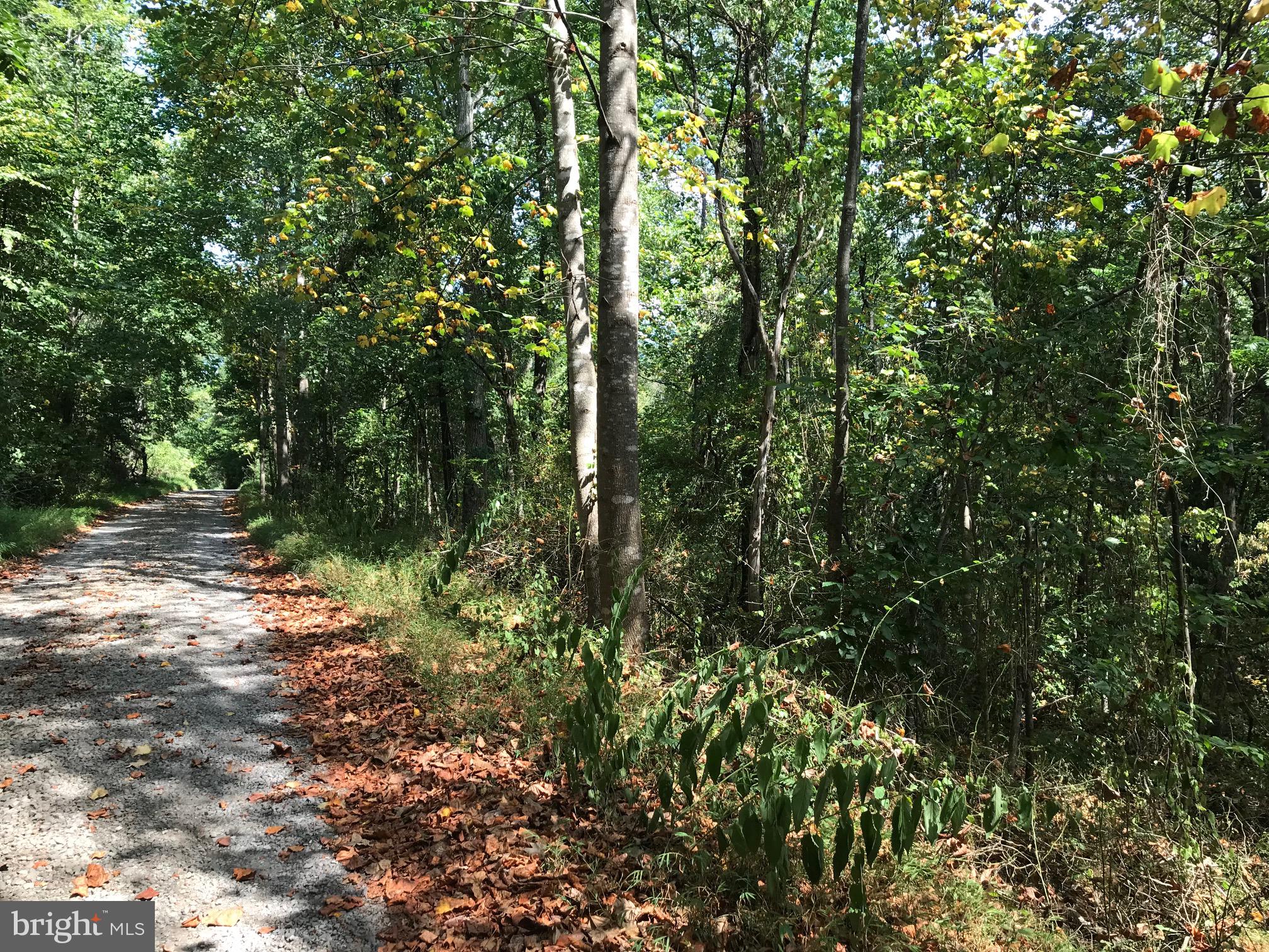 Lot 26 Snappers Trail Castleton, VA 22716 - Photo 6 of 10 SNAPPERS TRAIL SHARED ROW