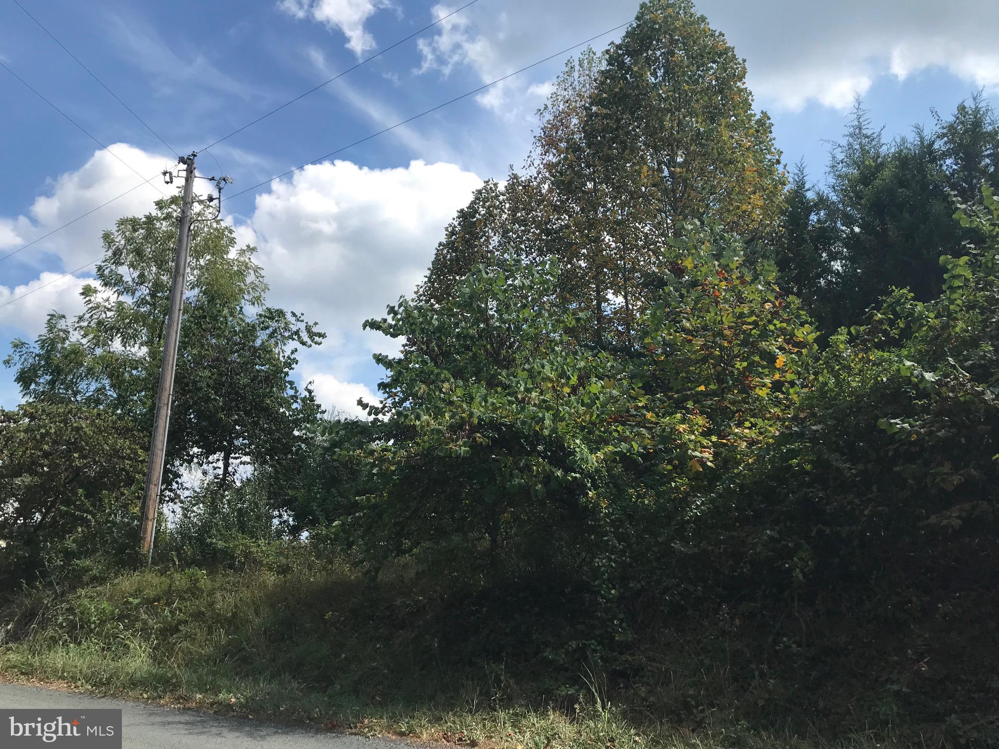 Lot 26 Snappers Trail Castleton, VA 22716 - Photo 7 of 10 ELECTRIC ON SITE