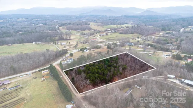 a view of a bathroom with small trees