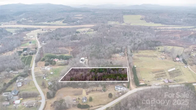 a view of a yard with plants and large trees