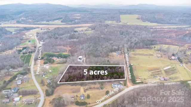 a view of a tree with a small yard