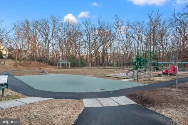 a view of yard with tree s