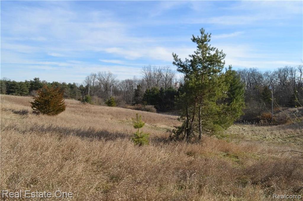 Vacant Childs Lake Road Milford, MI 48381 - Photo 11 of 18 Gallery Image 11