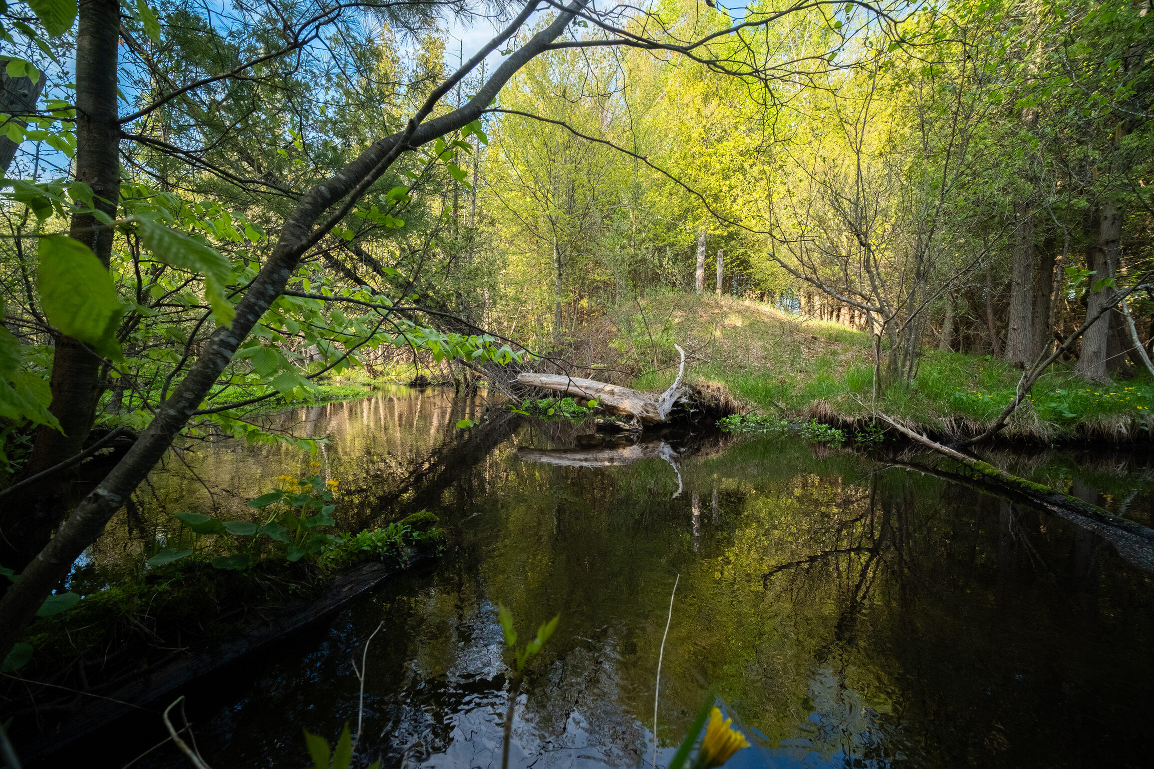 te frontage on Little Bear Creek