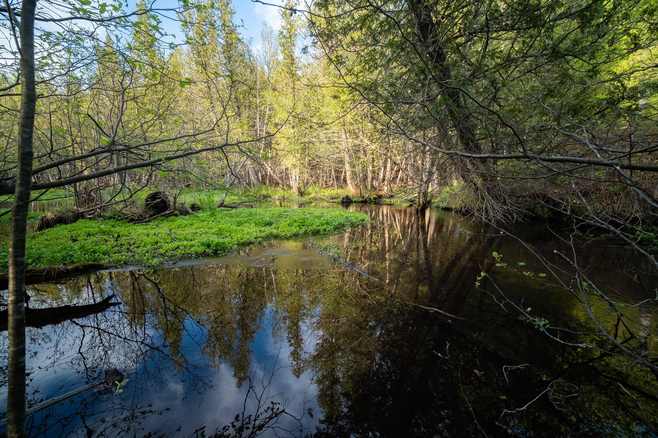 Chief Road Bear Lake, MI 49614 - Photo 13 of 31 Additional Photo