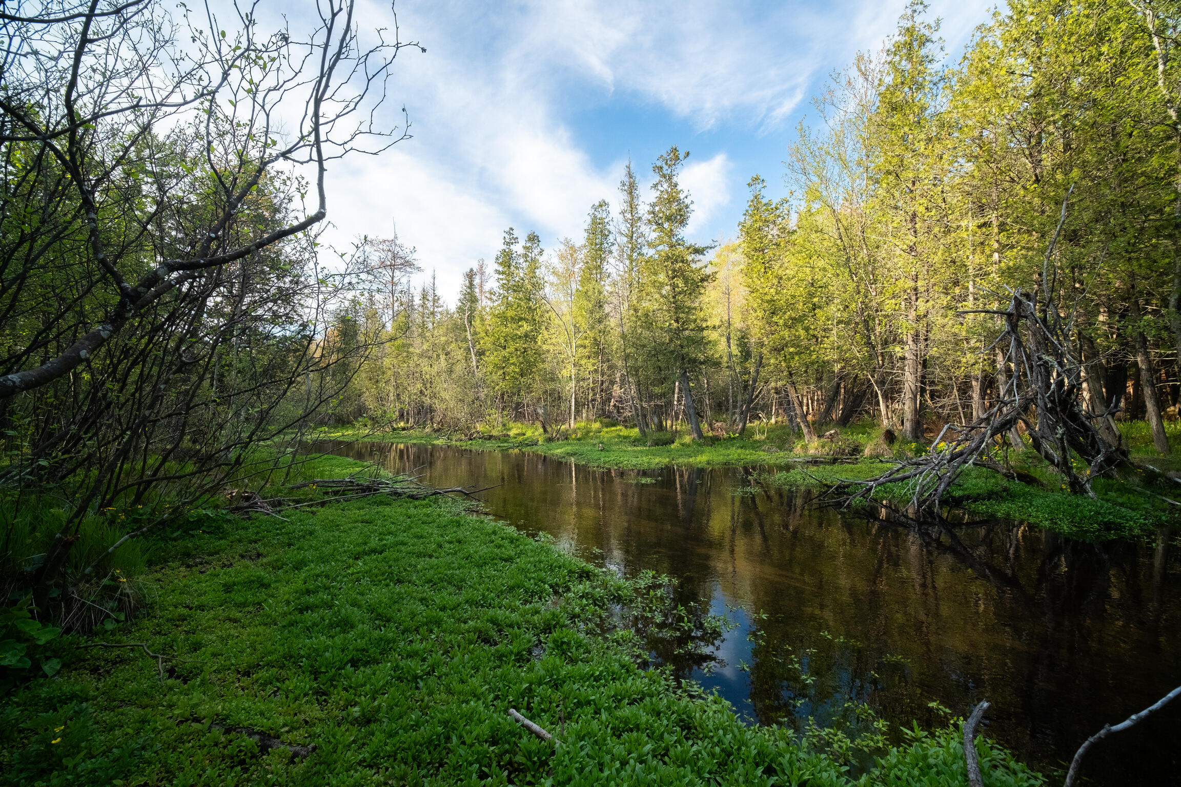 Chief Road Bear Lake, MI 49614 - Photo 15 of 31 Additional Photo