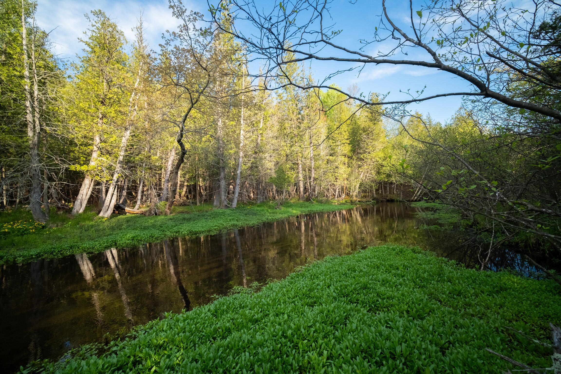 Chief Road Bear Lake, MI 49614 - Photo 16 of 31 Additional Photo