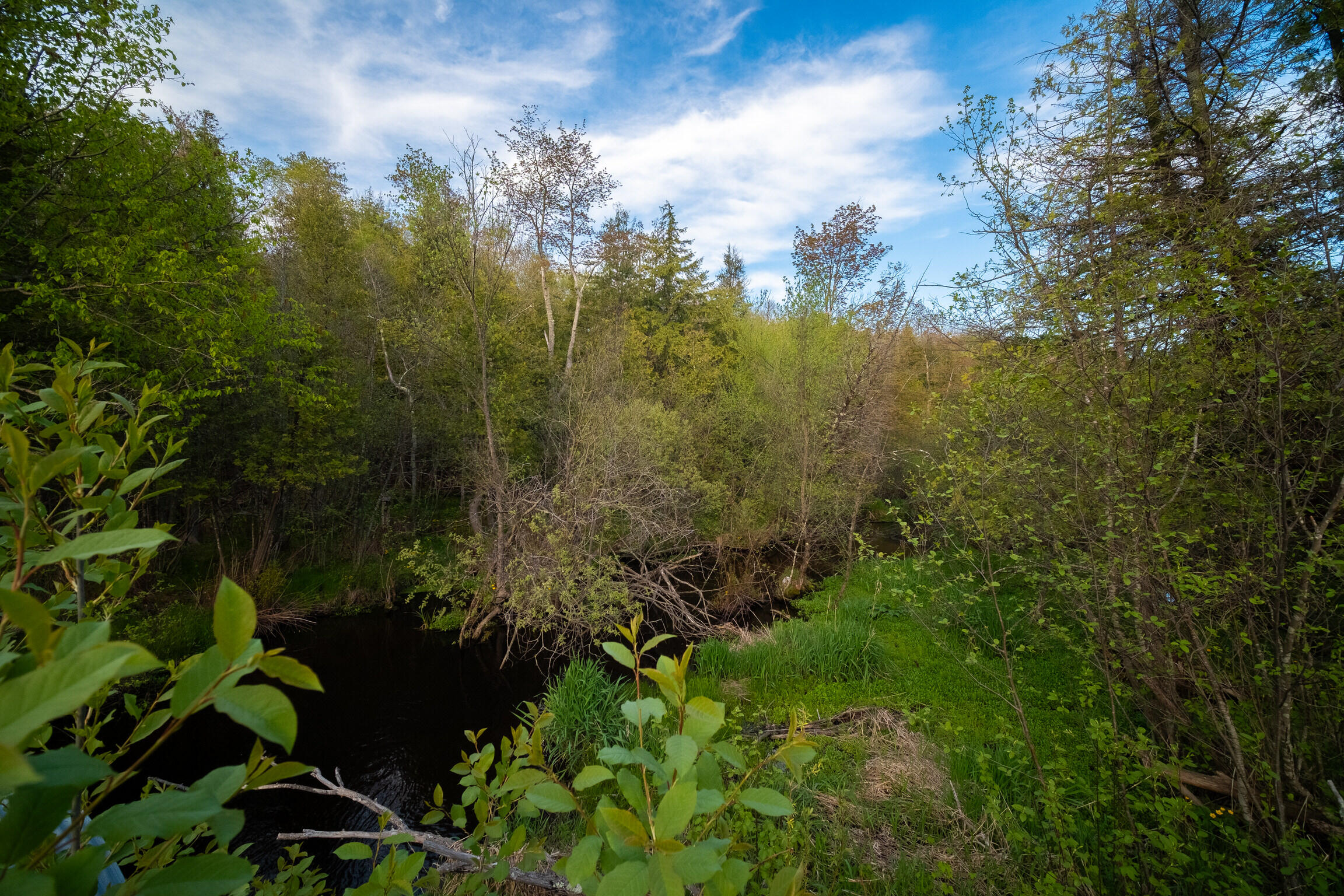 Chief Road Bear Lake, MI 49614 - Photo 18 of 31 Additional Photo