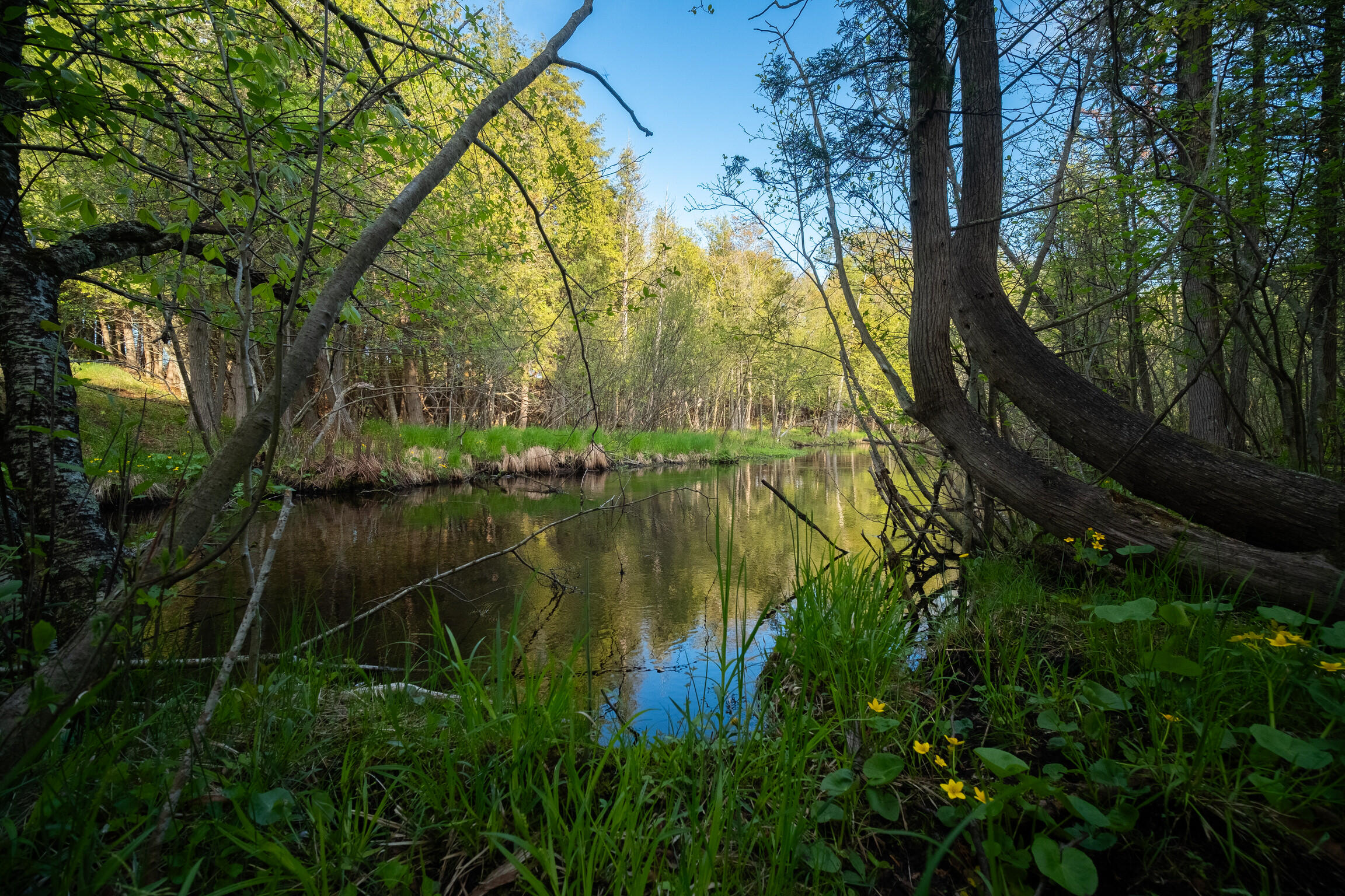 Chief Road Bear Lake, MI 49614 - Photo 2 of 31 Additional Photo