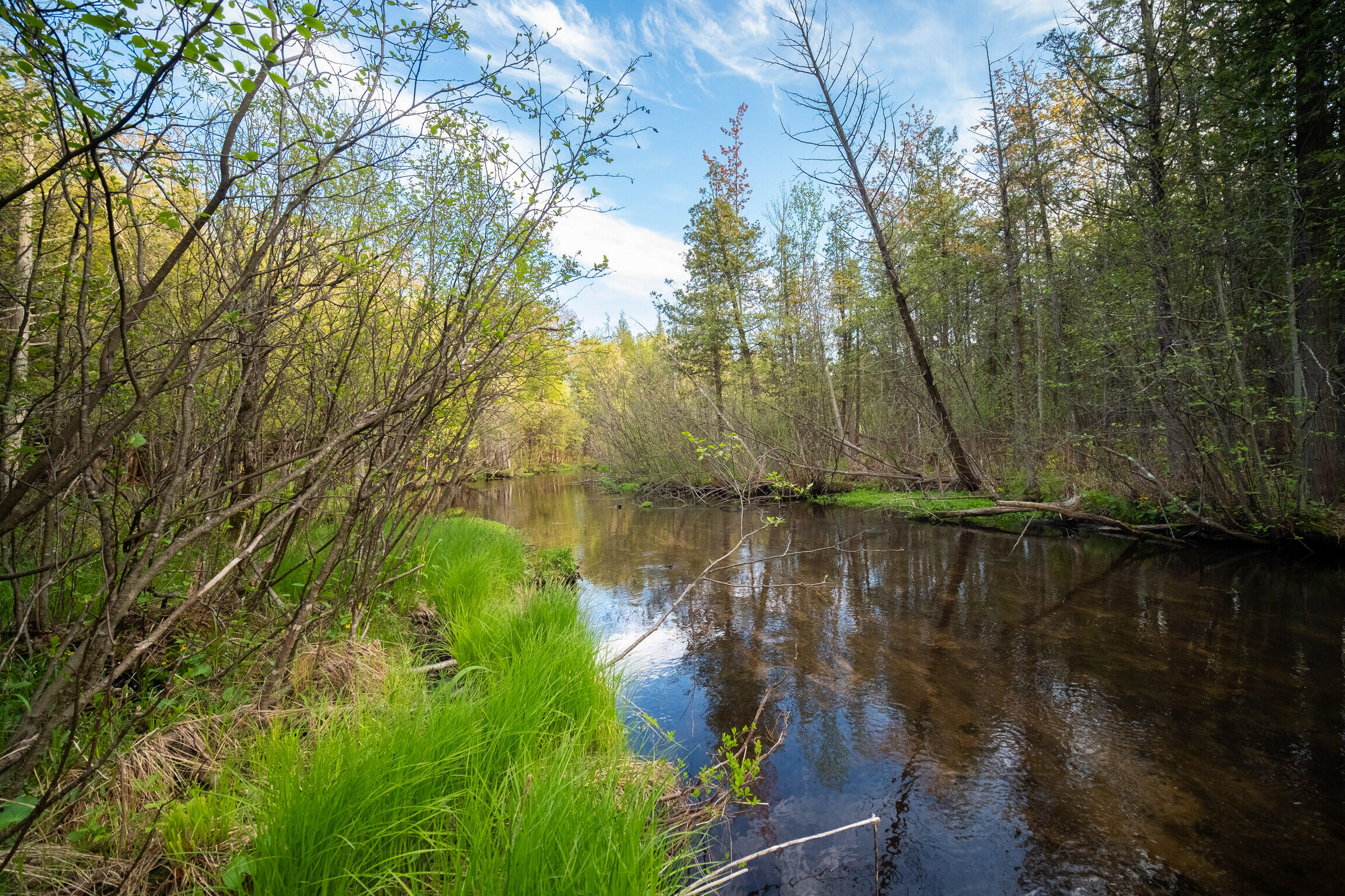 Chief Road Bear Lake, MI 49614 - Photo 29 of 31 Additional Photo