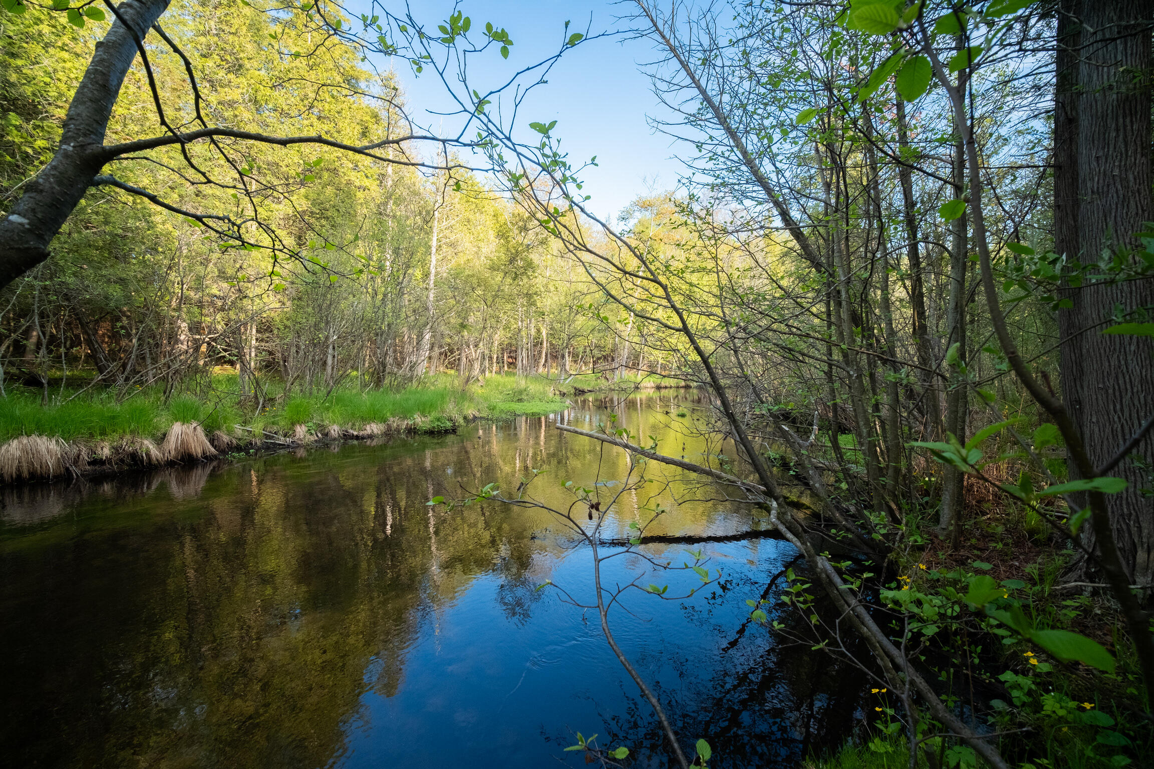Chief Road Bear Lake, MI 49614 - Photo 4 of 31 Additional Photo