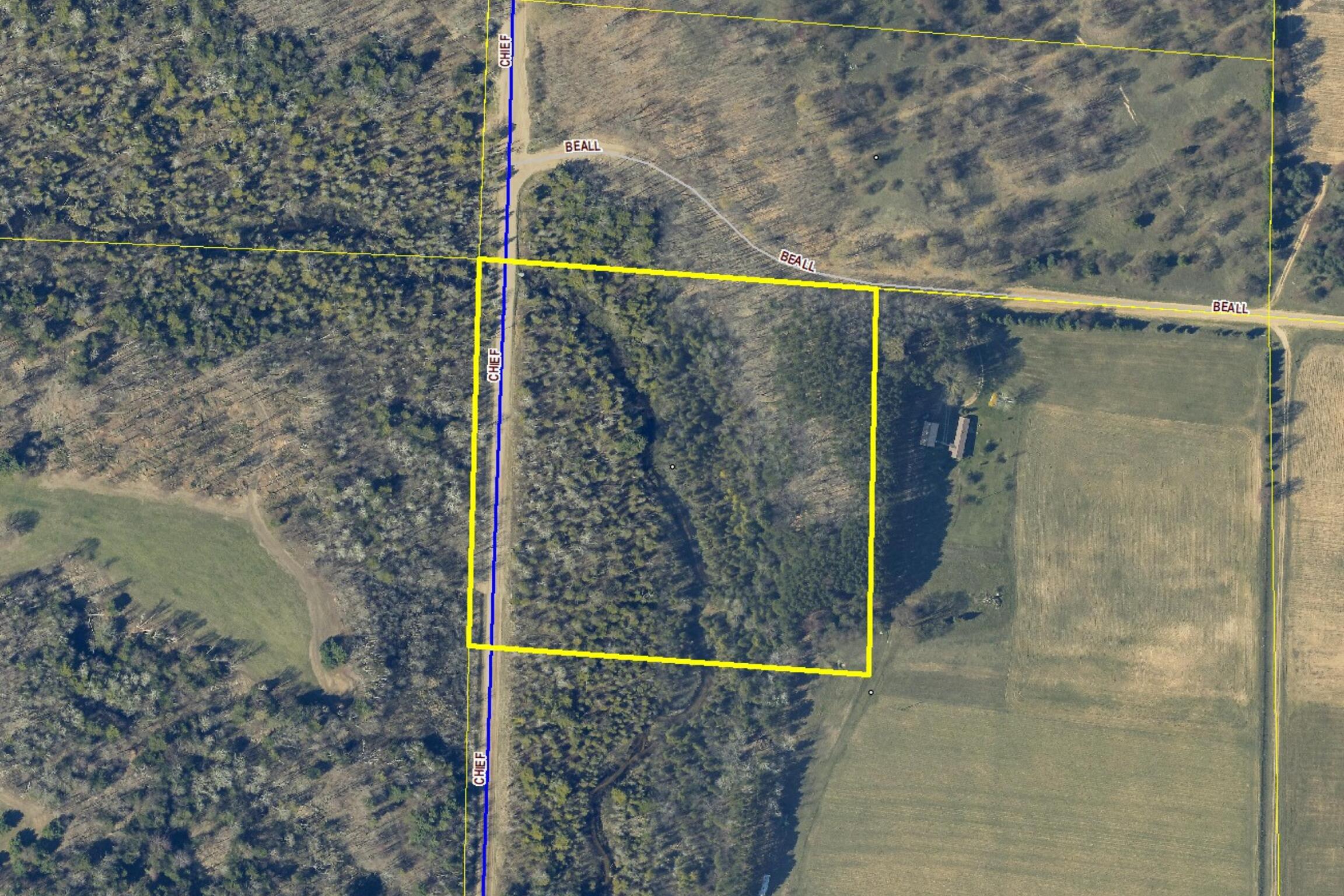 Chief Road Bear Lake, MI 49614 - Photo 6 of 31 1