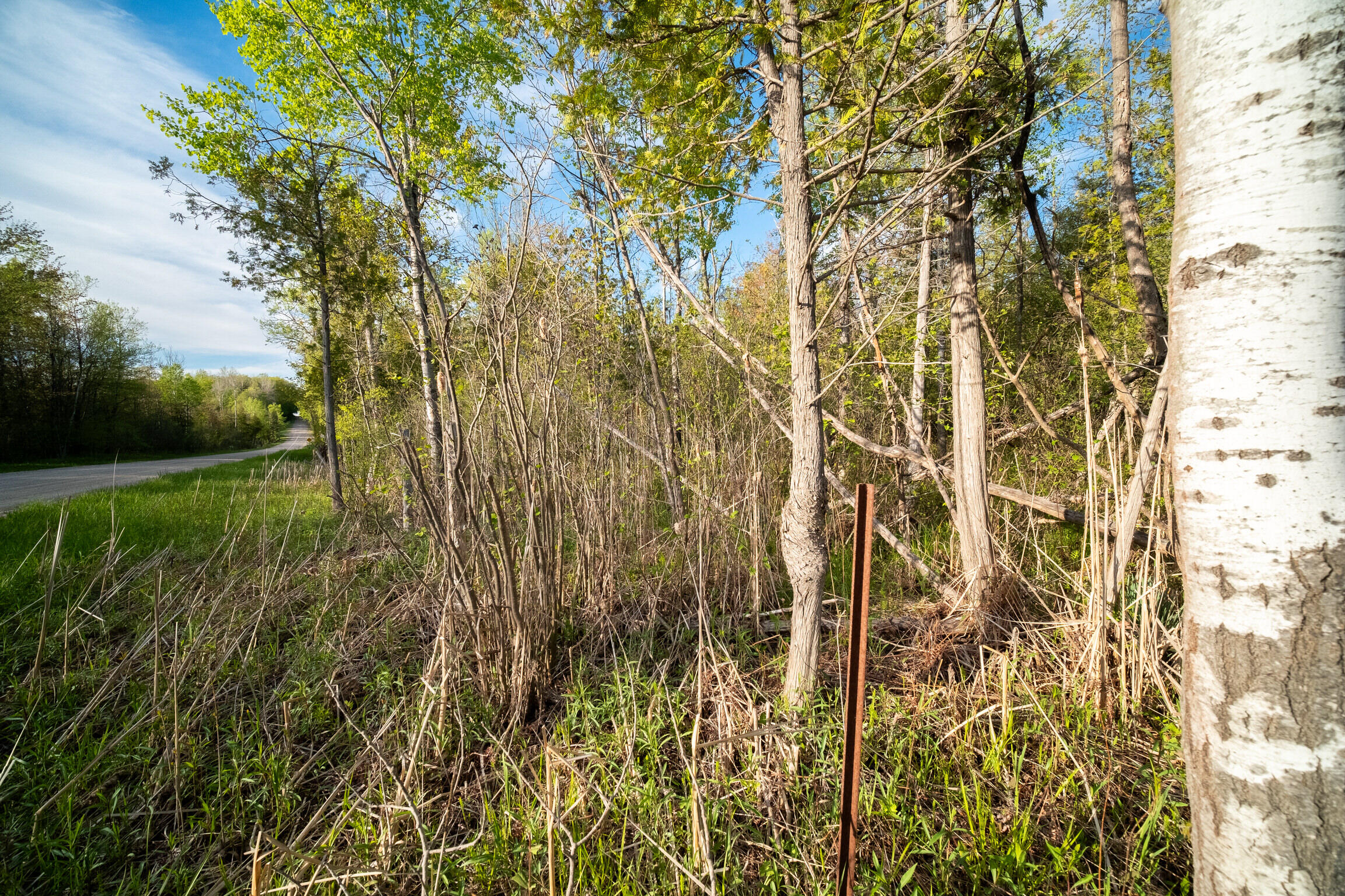 Chief Road Bear Lake, MI 49614 - Photo 8 of 31 Additional Photo