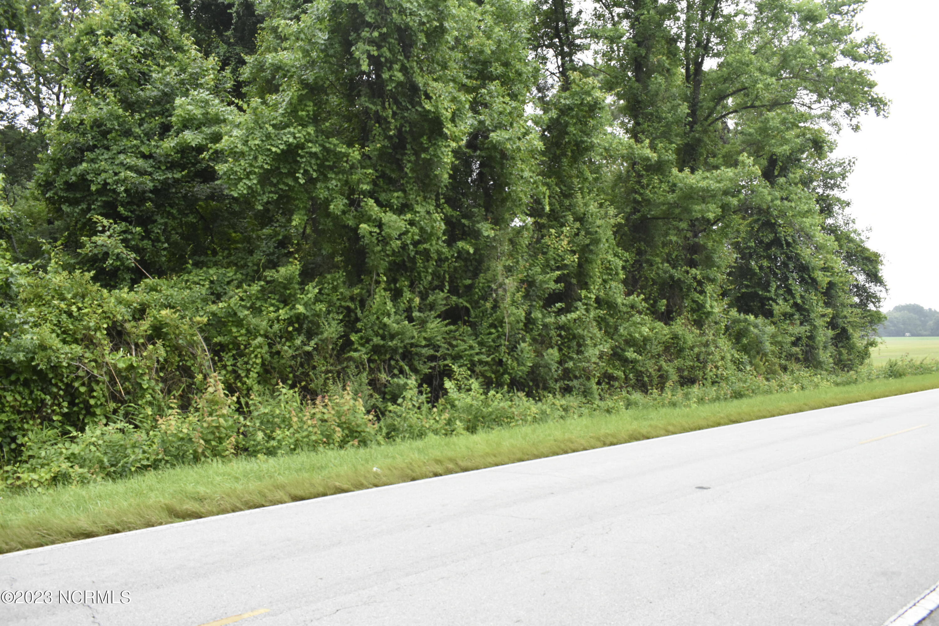 1724 Cornmill Road Beulaville, NC 28518 - Photo 2 of 6 Corn Mill Road
