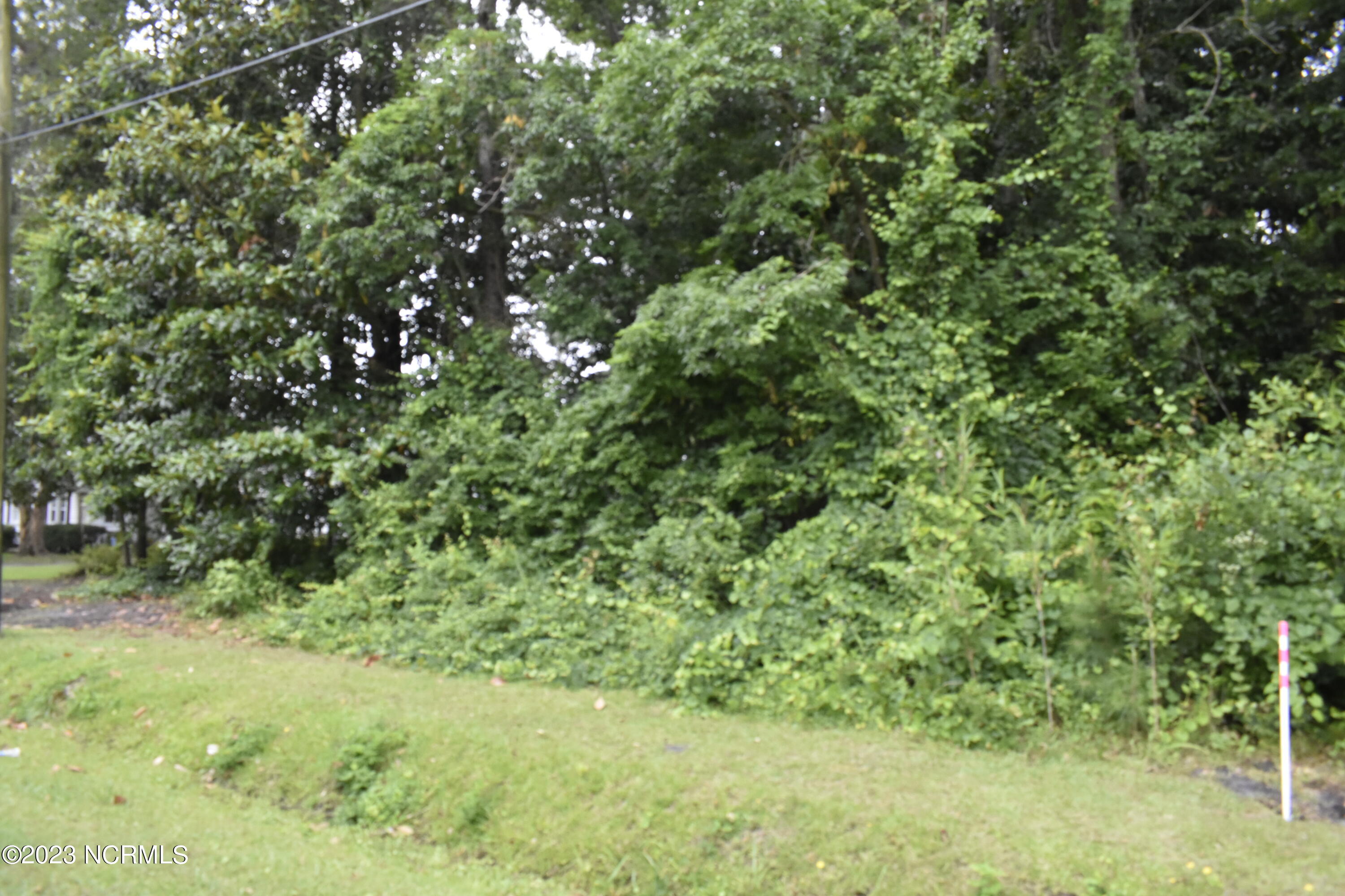 1724 Cornmill Road Beulaville, NC 28518 - Photo 5 of 6 Corn Mill Road