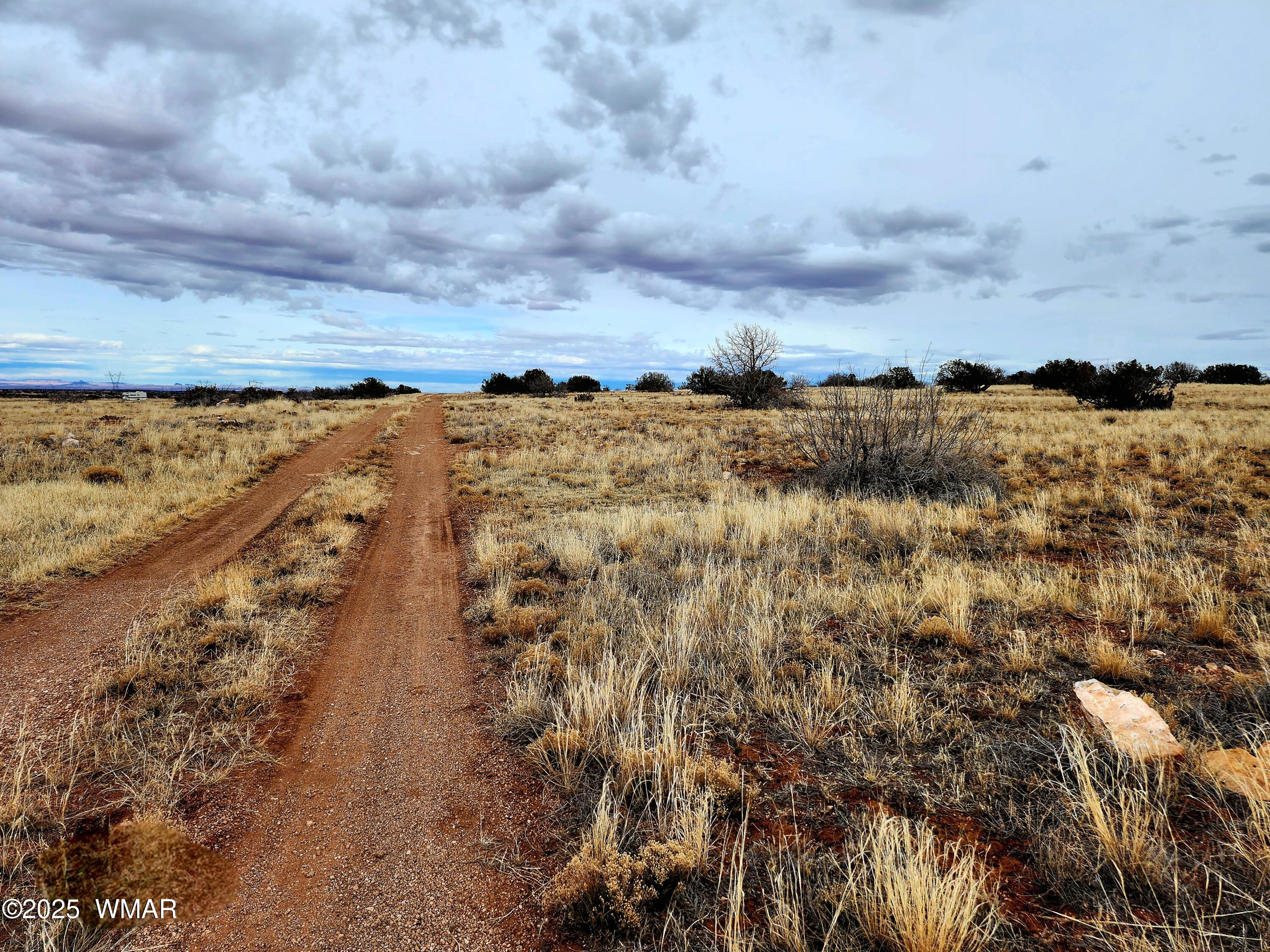 Lot 211 Dry Pasture Road Heber, AZ 85928 - Photo 24 of 35 4