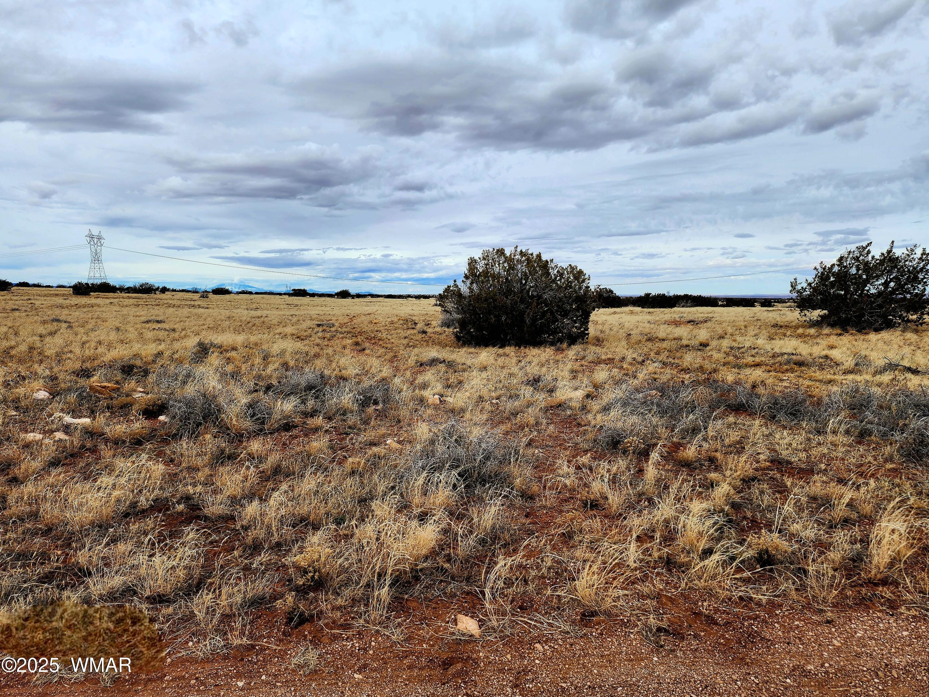 Lot 211 Dry Pasture Road Heber, AZ 85928 - Photo 28 of 35 20240225_140259
