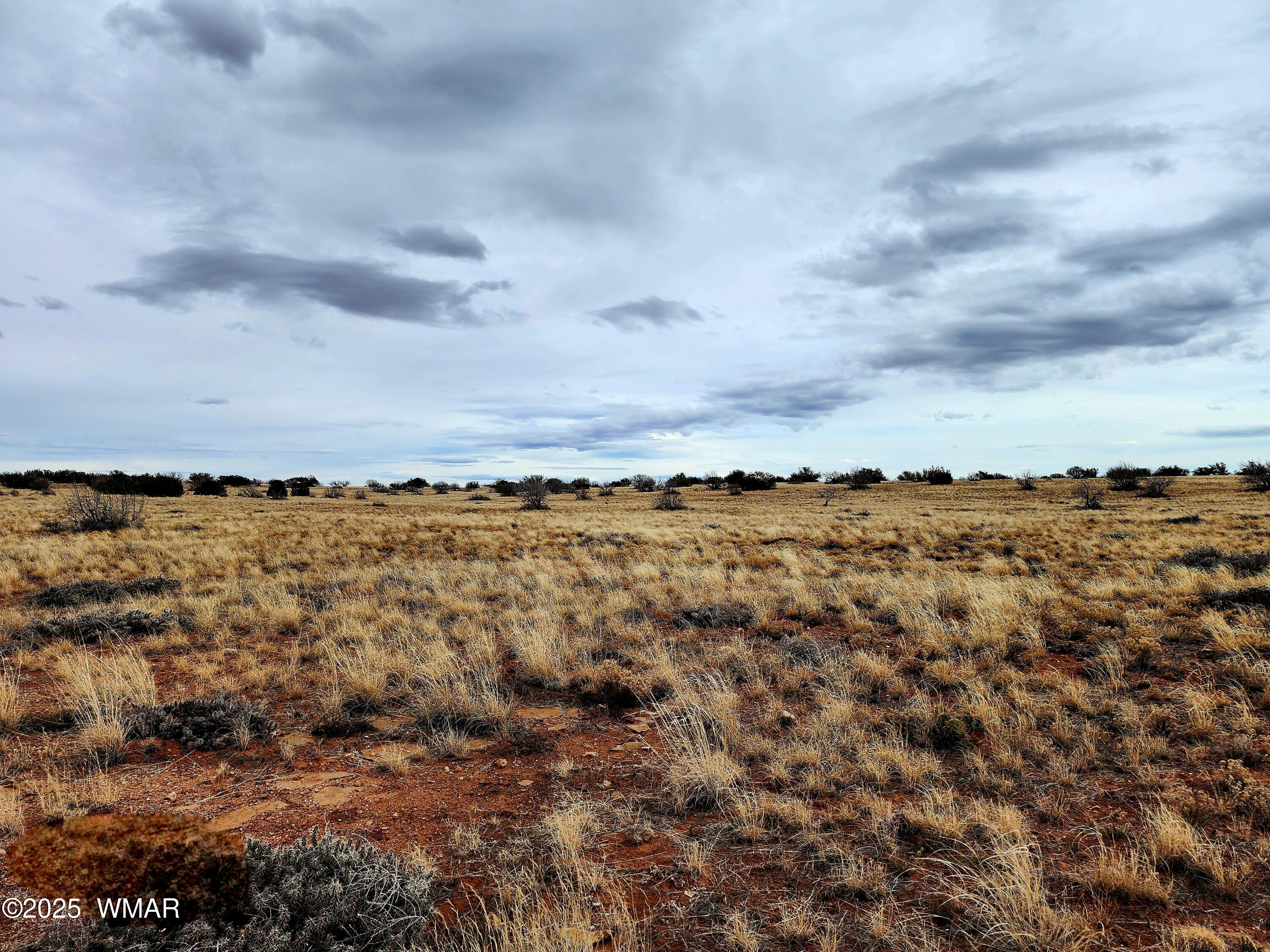 Lot 211 Dry Pasture Road Heber, AZ 85928 - Photo 30 of 35 20240225_140548