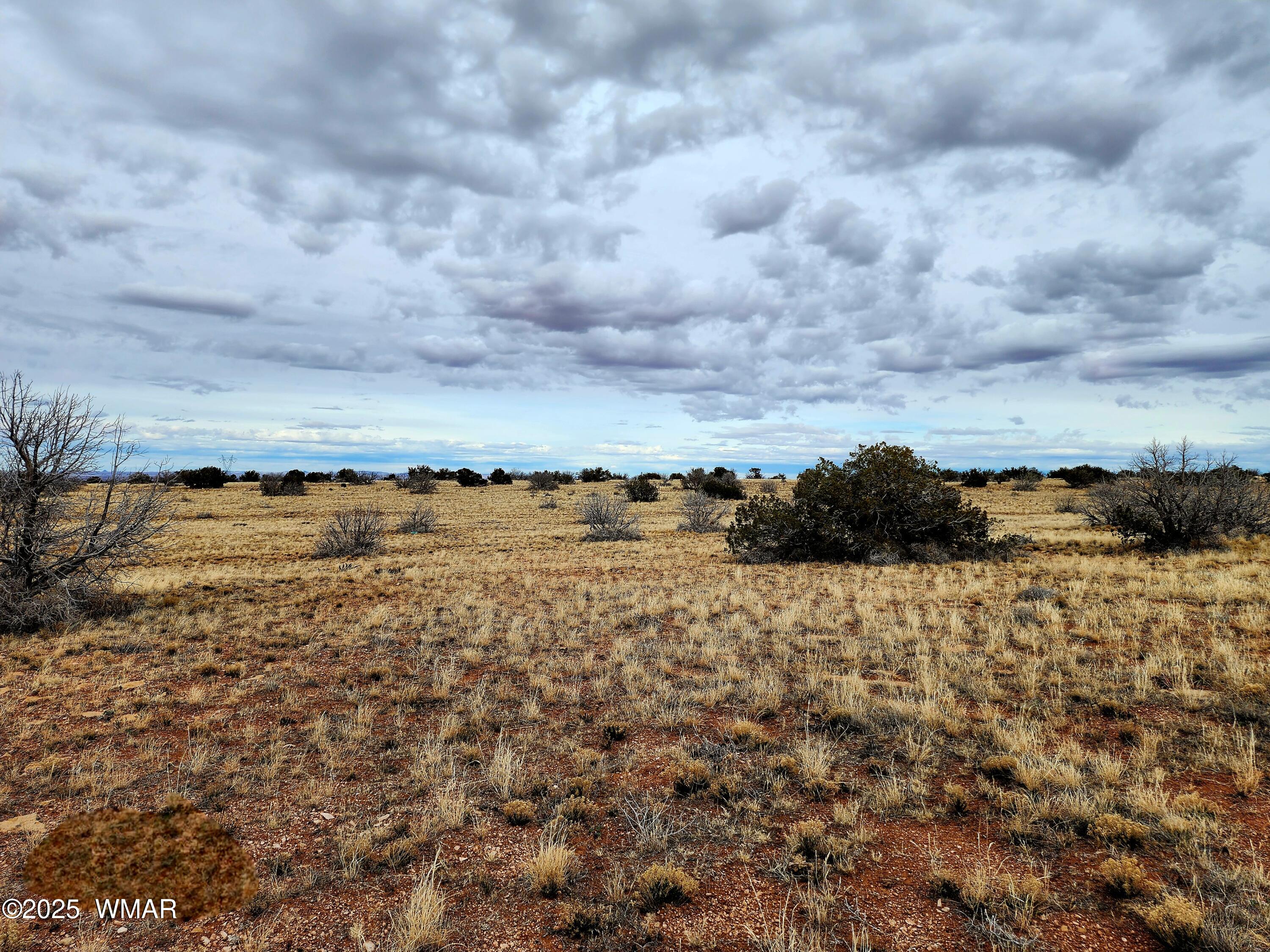 Lot 211 Dry Pasture Road Heber, AZ 85928 - Photo 34 of 35 20240225_140934