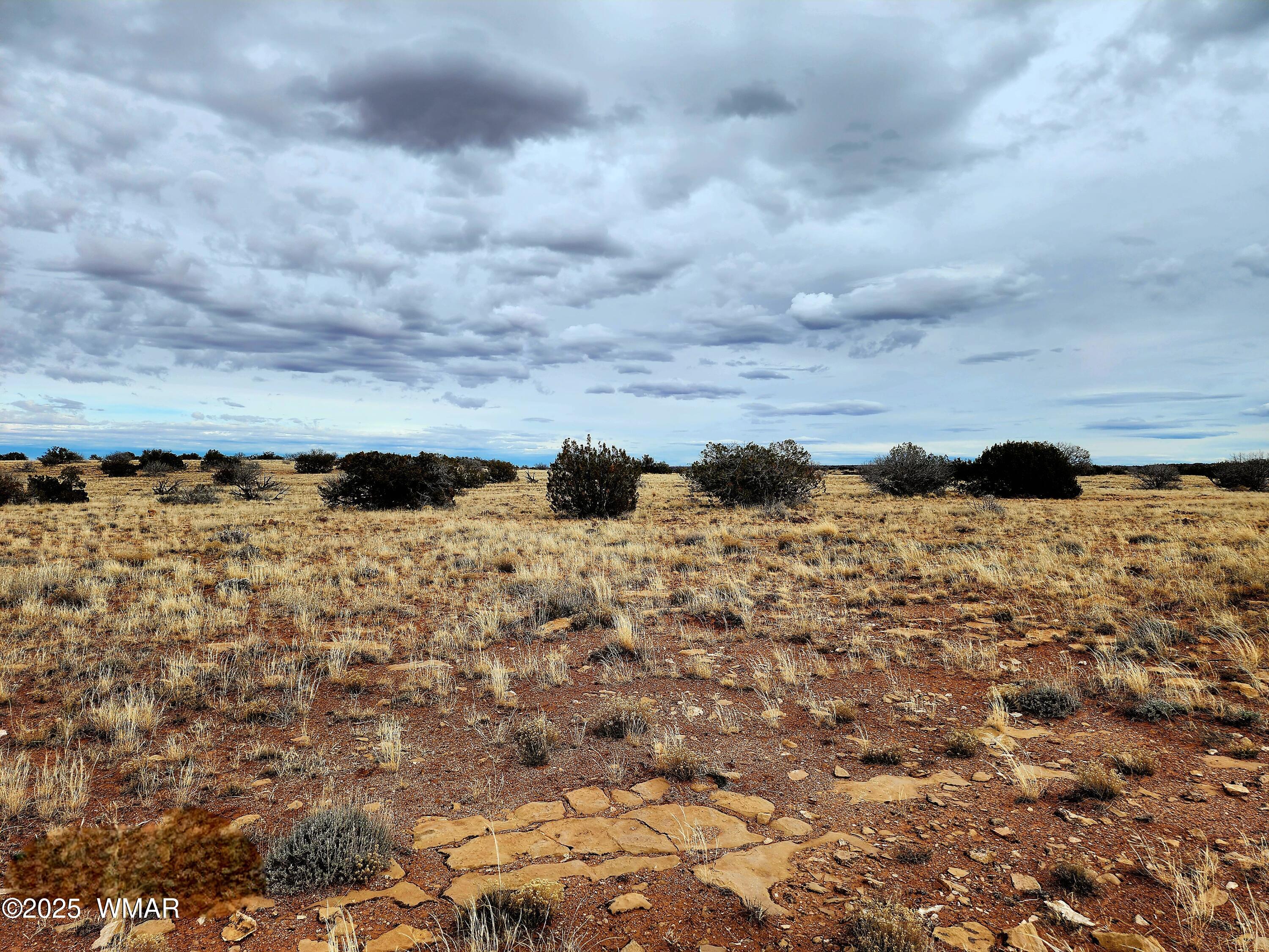 Lot 211 Dry Pasture Road Heber, AZ 85928 - Photo 8 of 35 20240225_141351