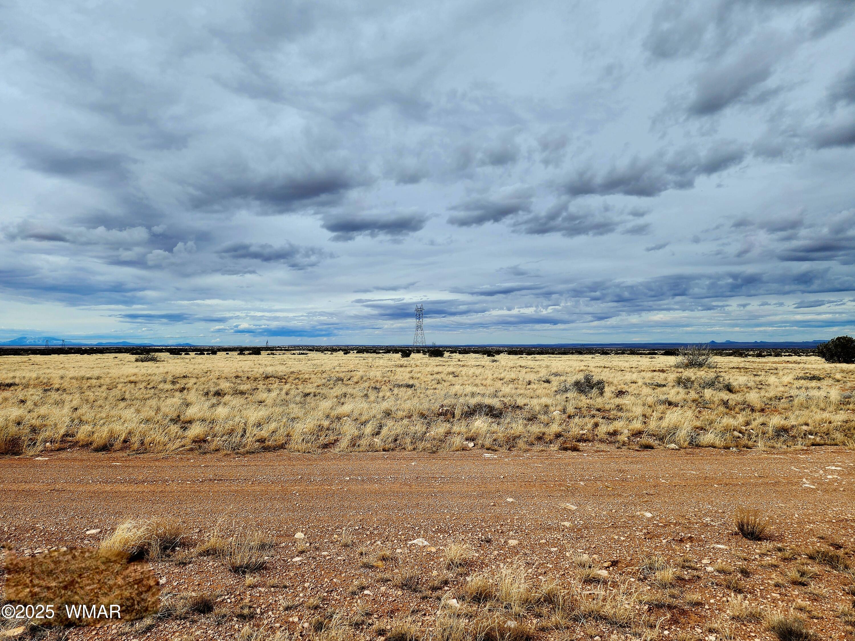 Lot 211 Dry Pasture Road Heber, AZ 85928 - Photo 10 of 35 20240225_142959