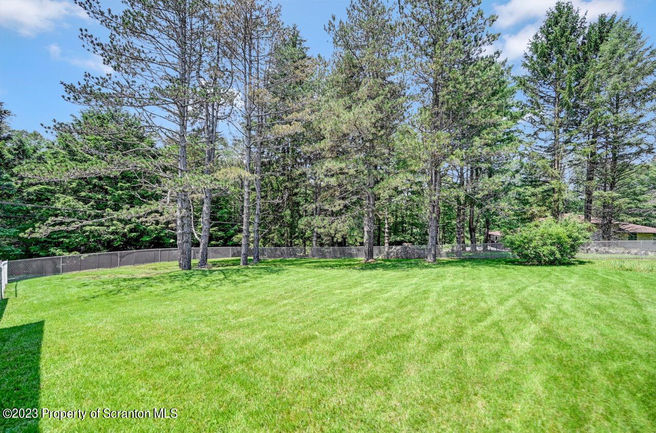 3 T-338 Moscow, PA 18444 - Photo 54 of 62 a backyard of a house with lots of green space