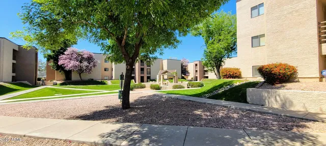 a front view of a house with a yard and shrubs