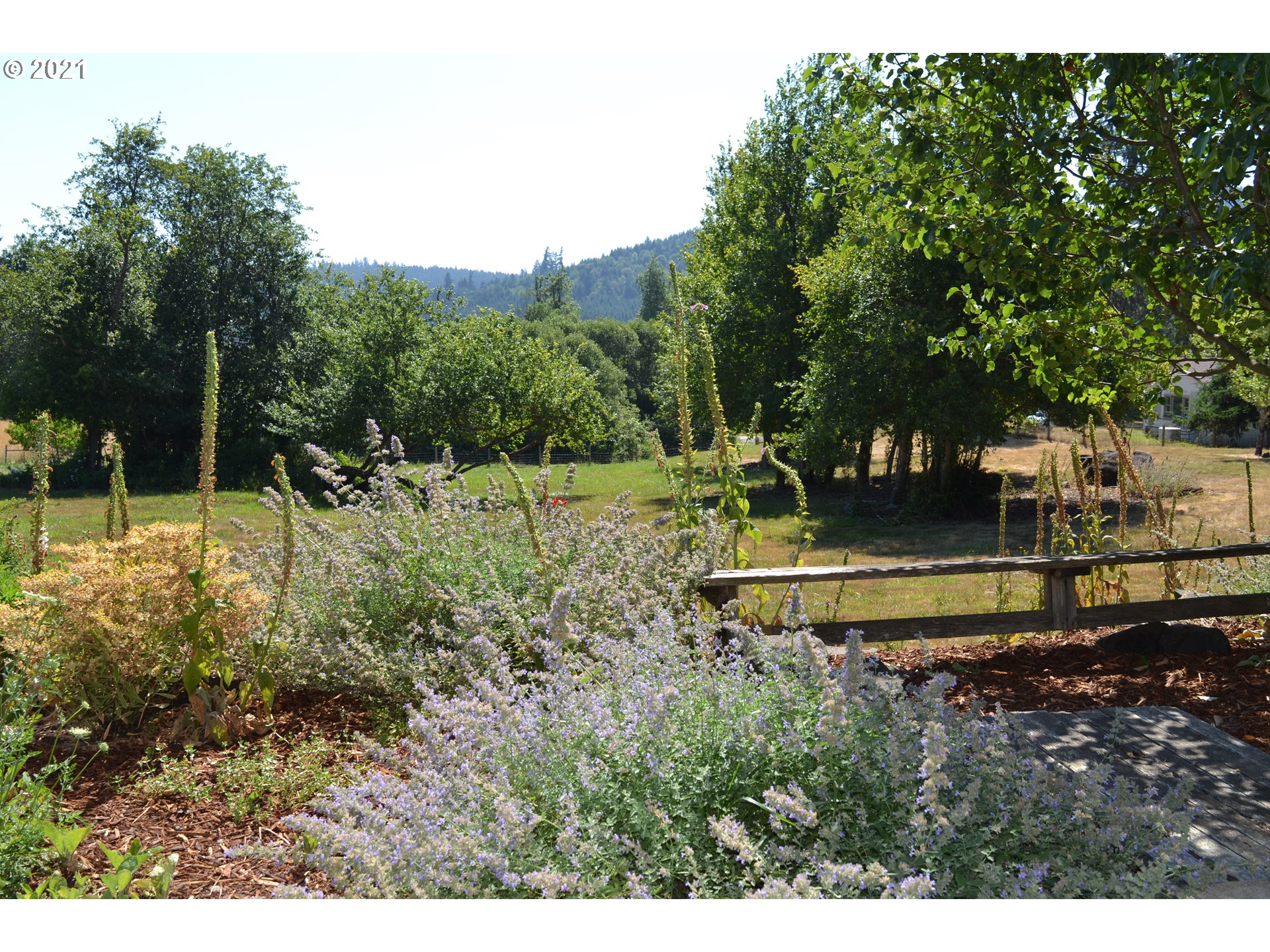 80339 Old Lorane Road Eugene, OR 97405 - Photo 6 of 32 Gallery Image 6