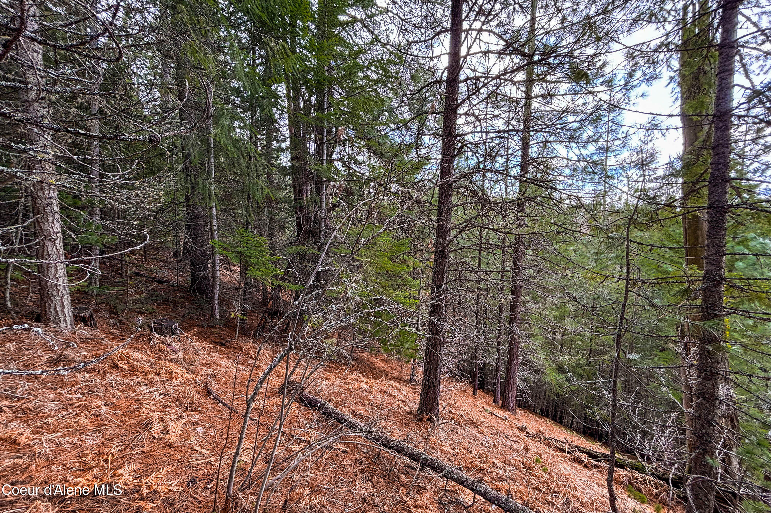 Nna Elk Street Sandpoint, ID 83864 - Photo 11 of 15 .