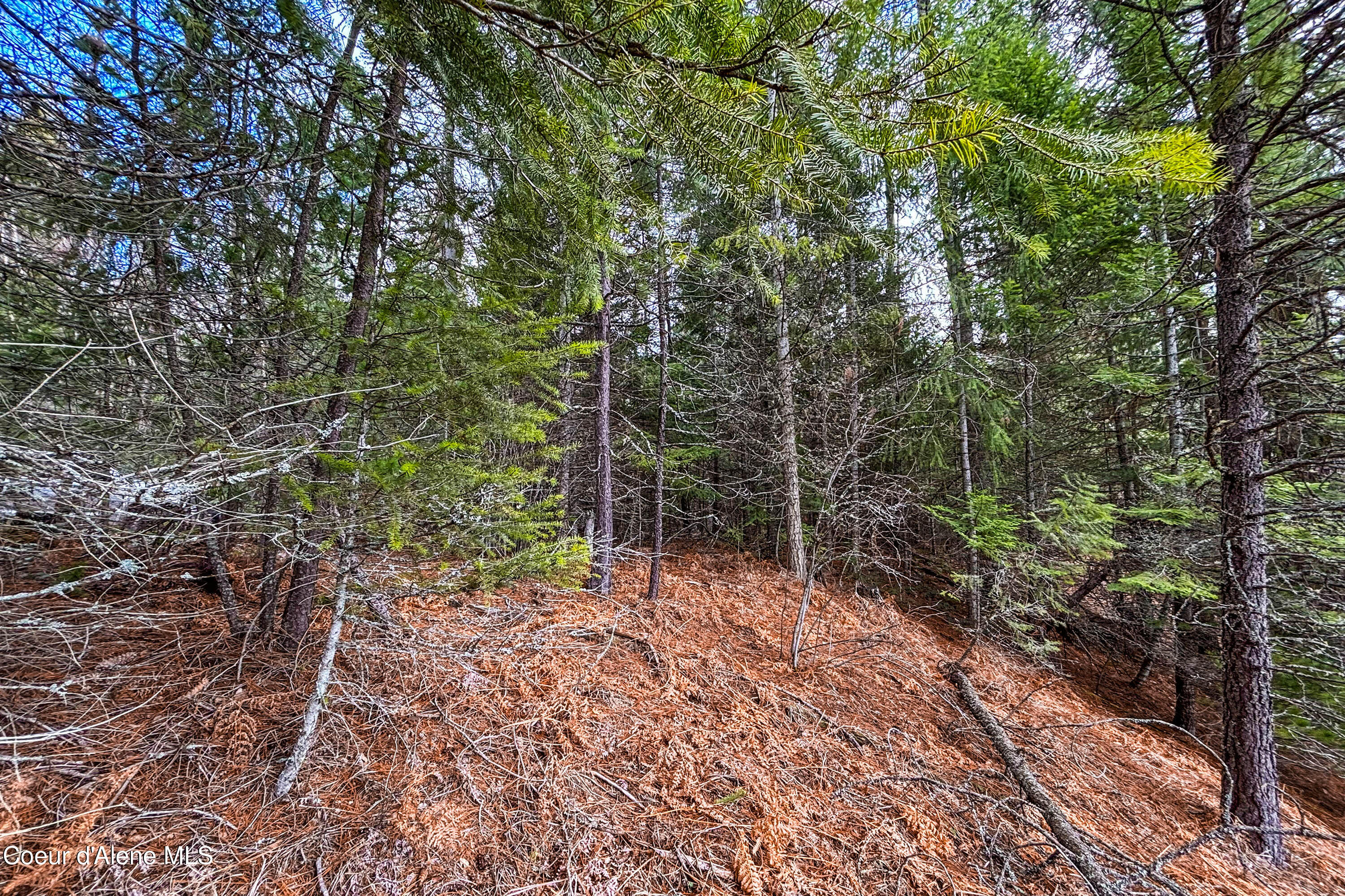 Nna Elk Street Sandpoint, ID 83864 - Photo 12 of 15 .