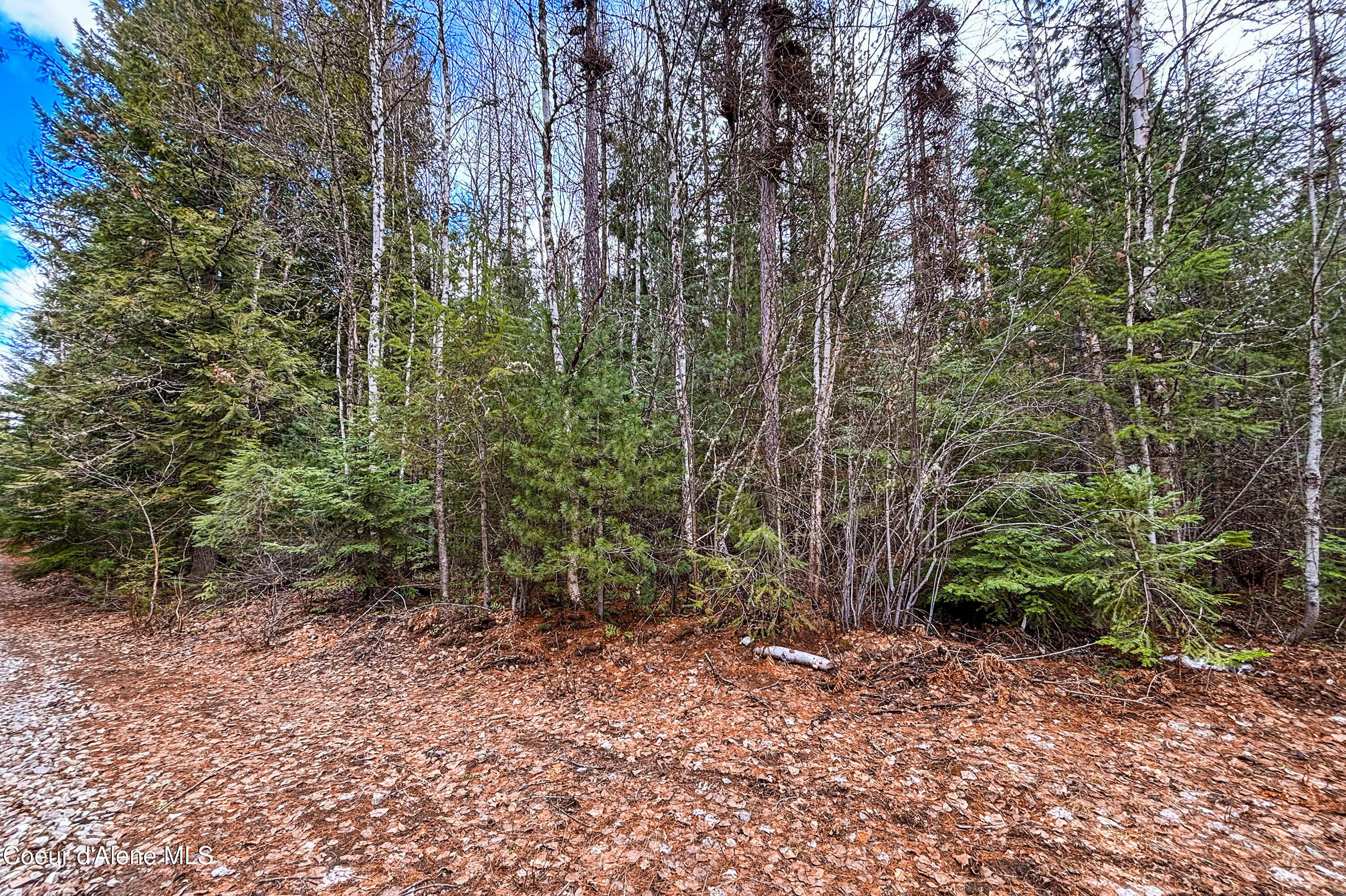 Nna Elk Street Sandpoint, ID 83864 - Photo 13 of 15 .