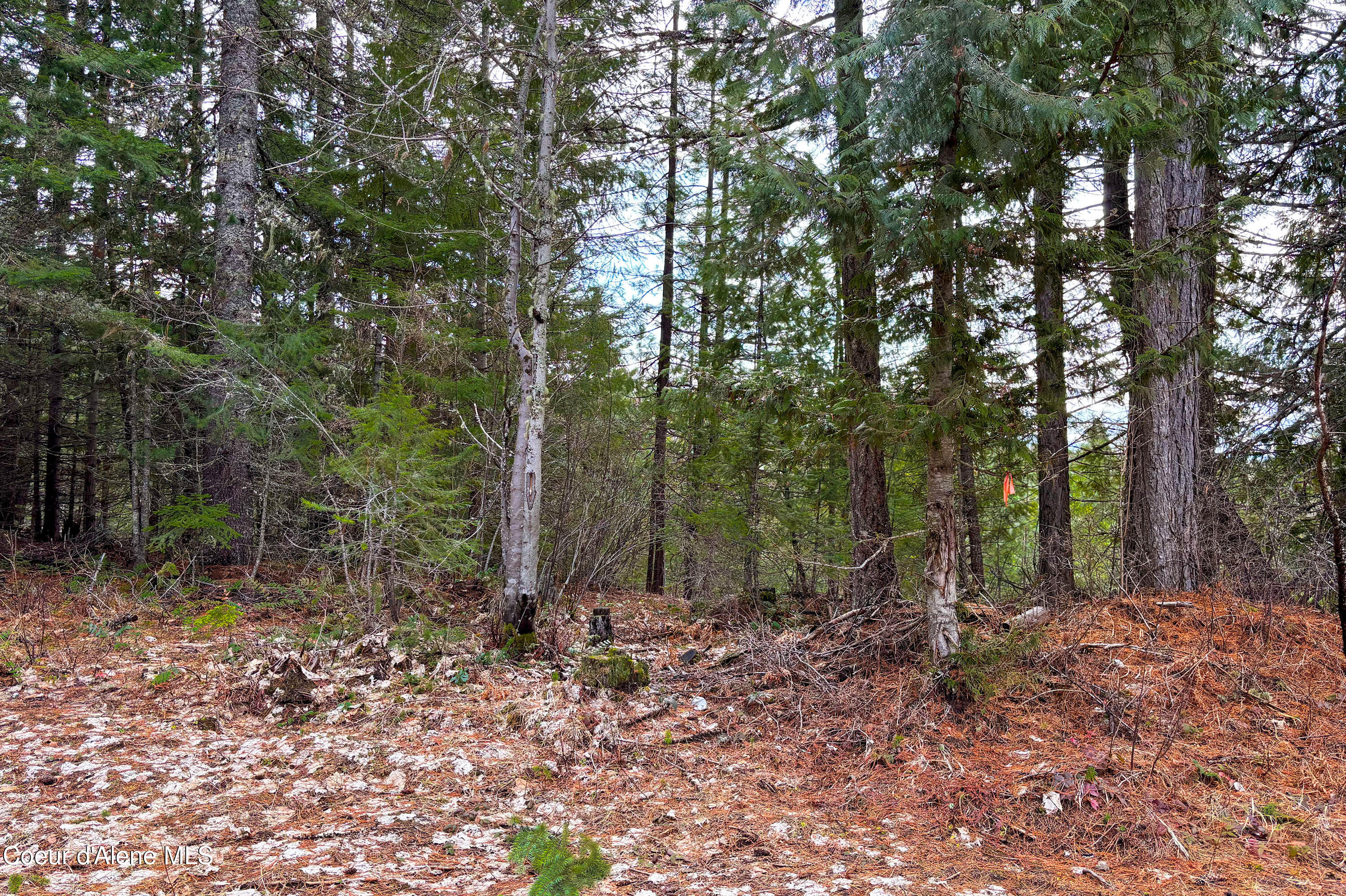 Nna Elk Street Sandpoint, ID 83864 - Photo 8 of 15 .