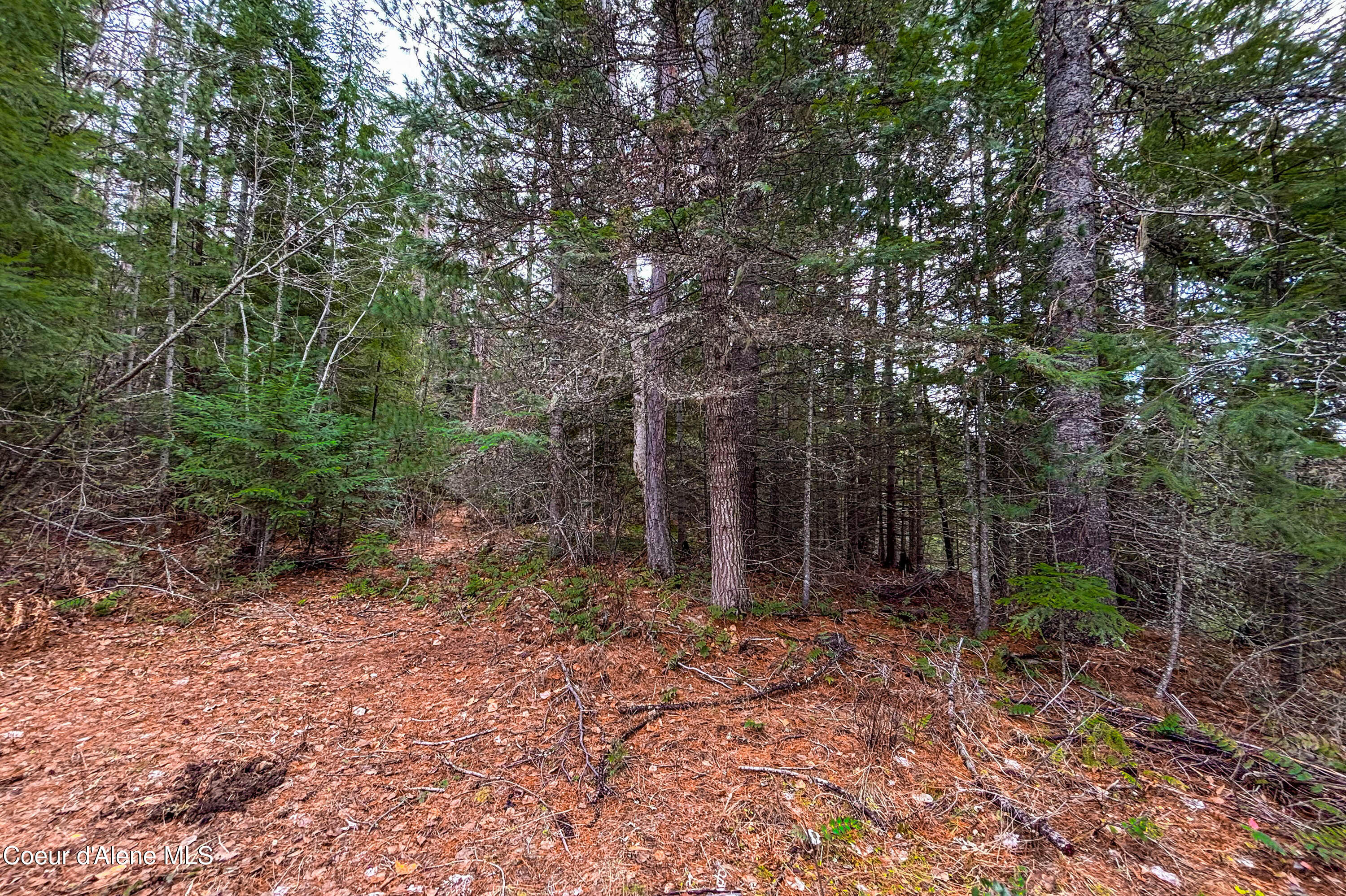 Nna Elk Street Sandpoint, ID 83864 - Photo 9 of 15 .