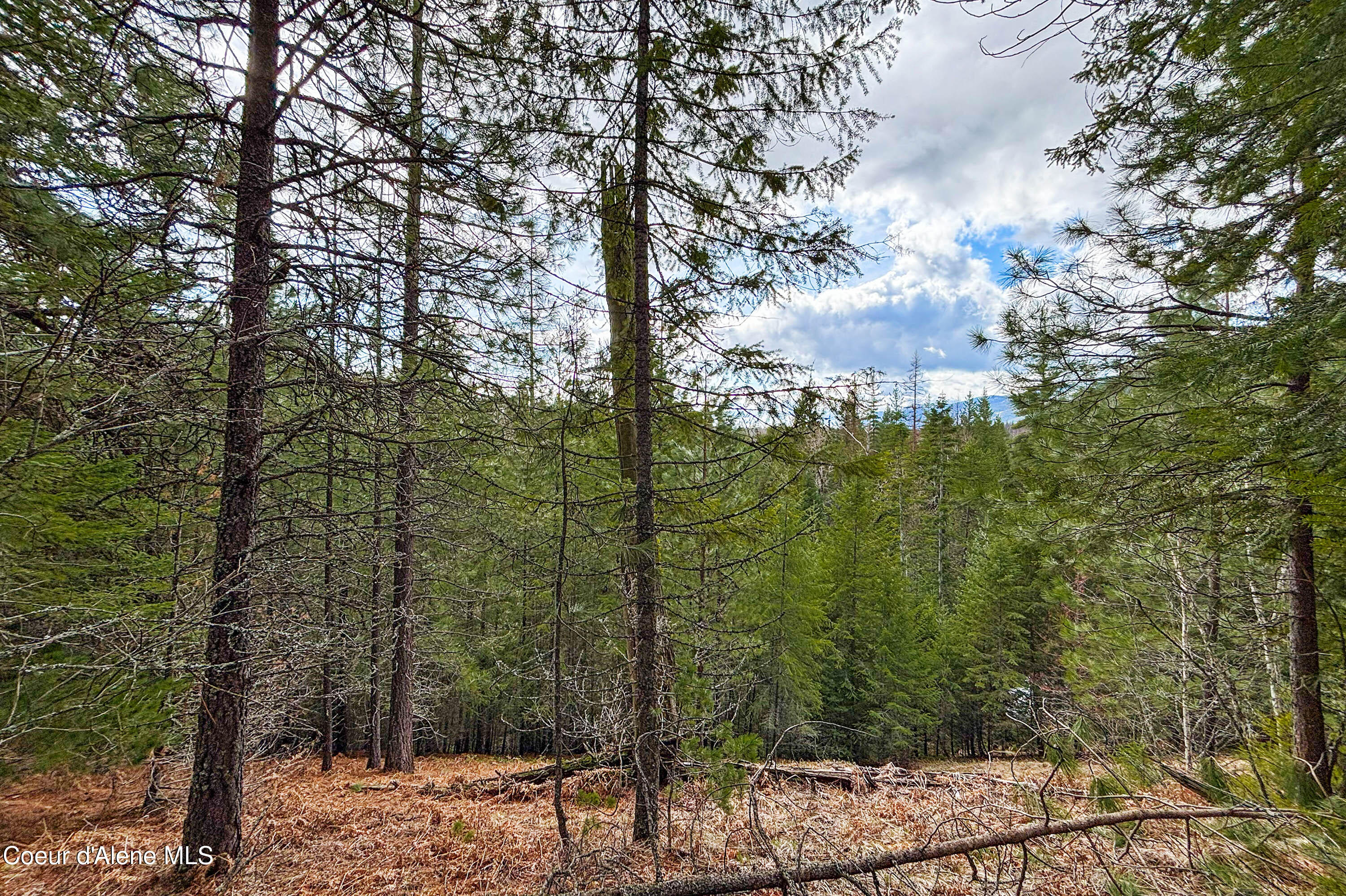 Nna Elk Street Sandpoint, ID 83864 - Photo 10 of 15 .