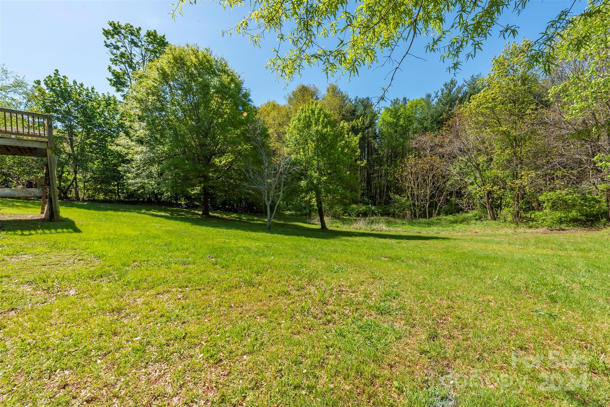 379 Buckeye Cove Road Swannanoa, NC 28778 - Photo 23 of 31 a view of a park with large trees