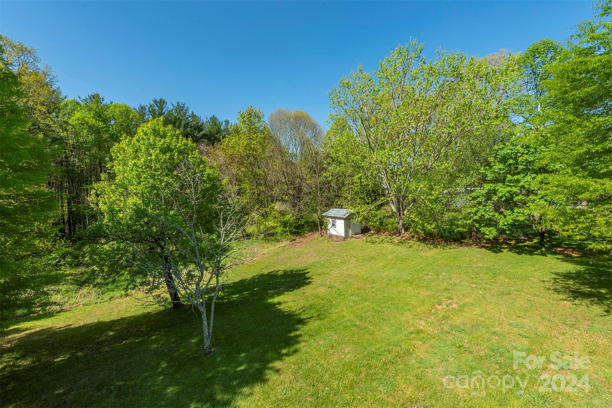 379 Buckeye Cove Road Swannanoa, NC 28778 - Photo 31 of 31 a view of yard with green space