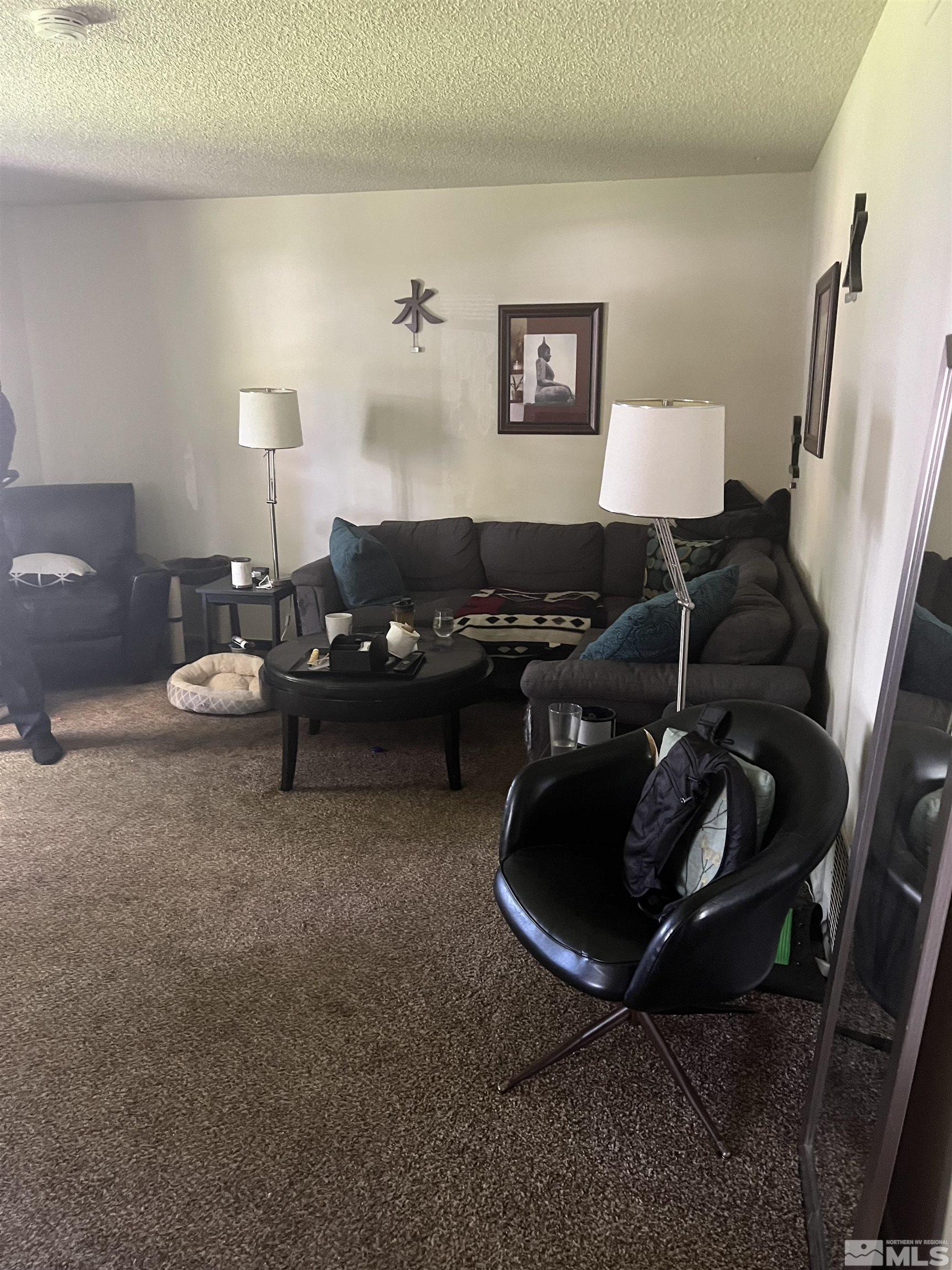531 Kohlepp Avenue Reno, NV 89509 - Photo 20 of 23 Photo 20