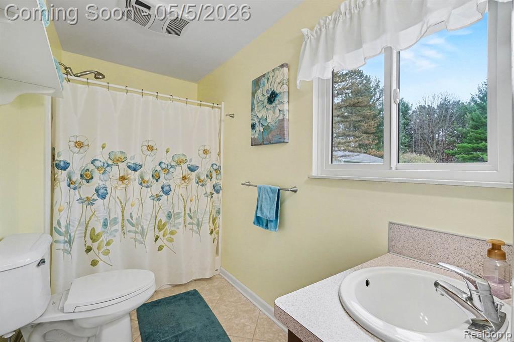 10060 North Linden Road Clio, MI 48420 - Photo 17 of 27