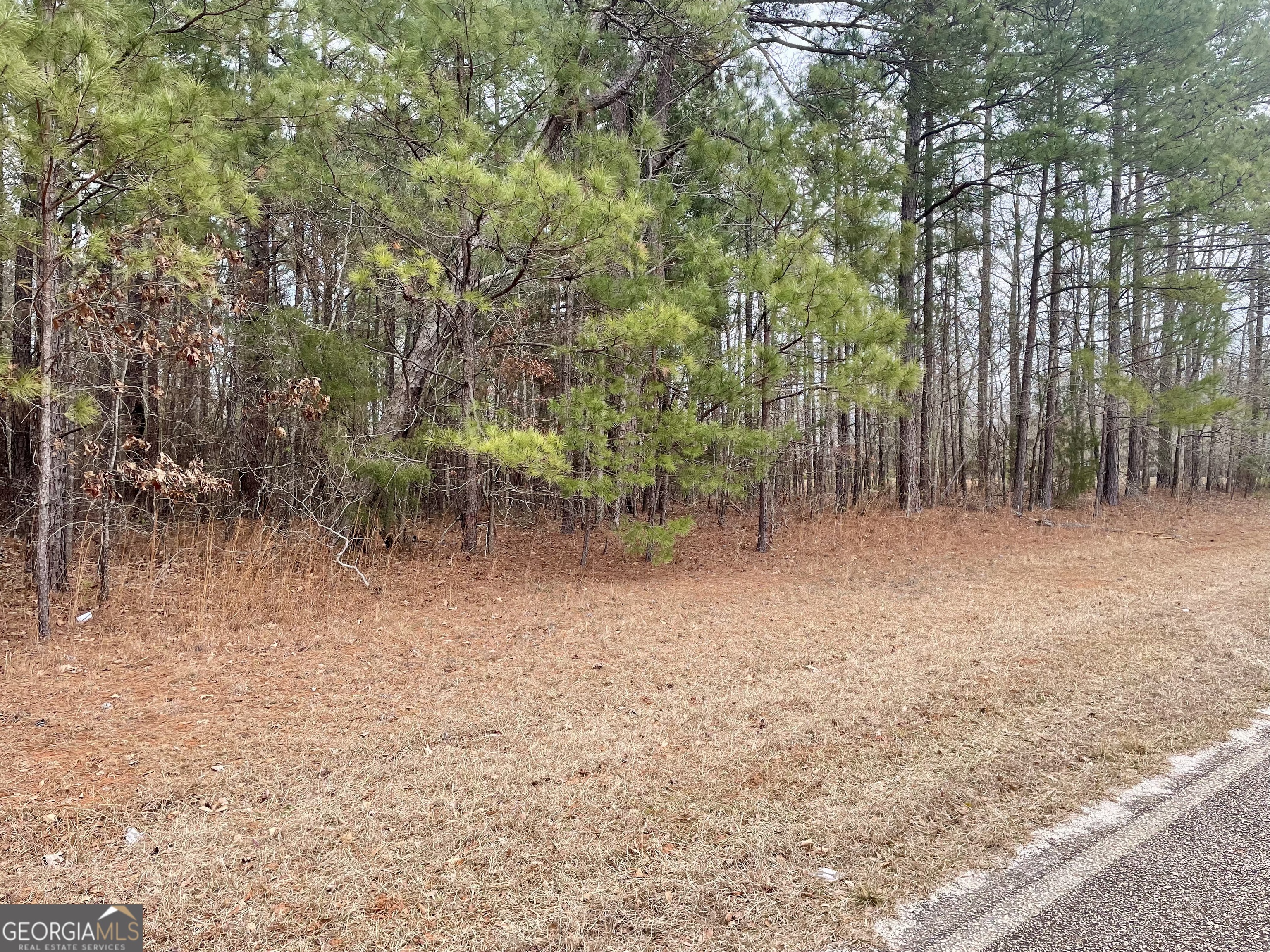 0 Midway Road Barnesville, GA 30204 - Photo 3 of 4