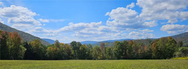 $339,000 | 161 Montgomery Hollow Road, Roxbury, NY 12474