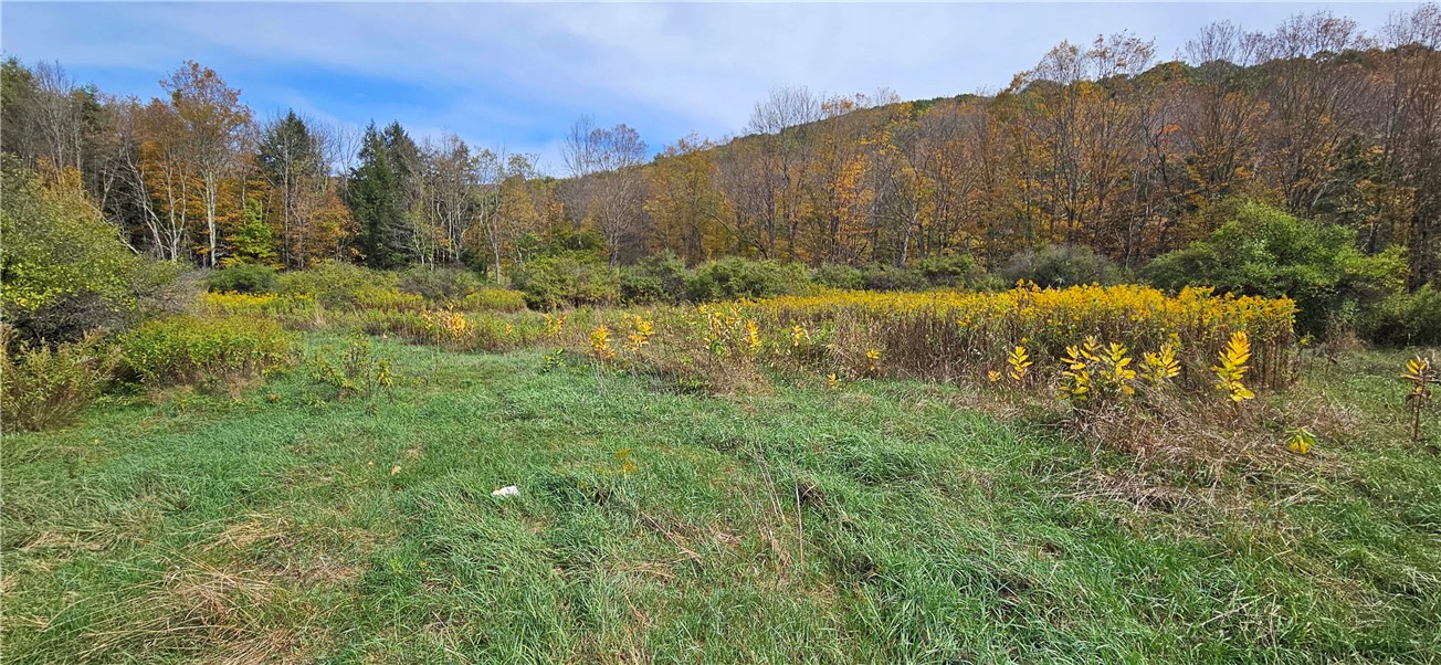 161 Montgomery Hollow Road Roxbury, NY 12474 - Photo 11 of 20