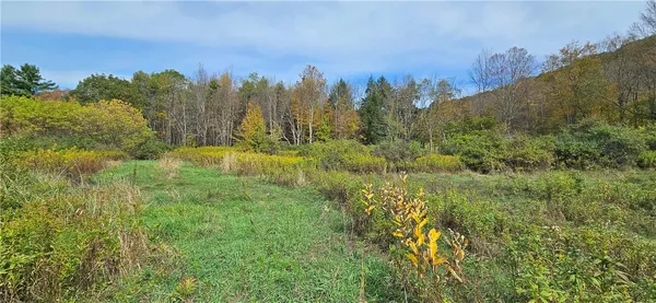 $339,000 | 161 Montgomery Hollow Road, Roxbury, NY 12474