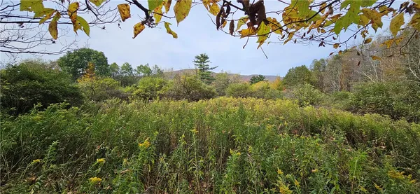 $339,000 | 161 Montgomery Hollow Road, Roxbury, NY 12474
