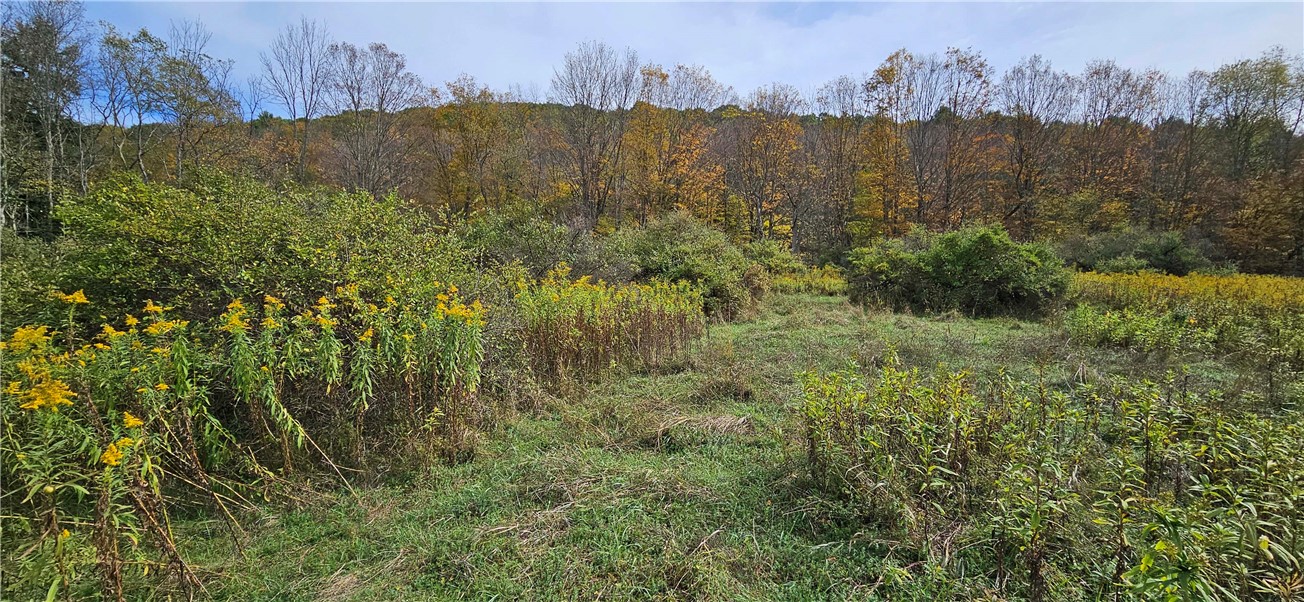 161 Montgomery Hollow Road Roxbury, NY 12474 - Photo 14 of 20