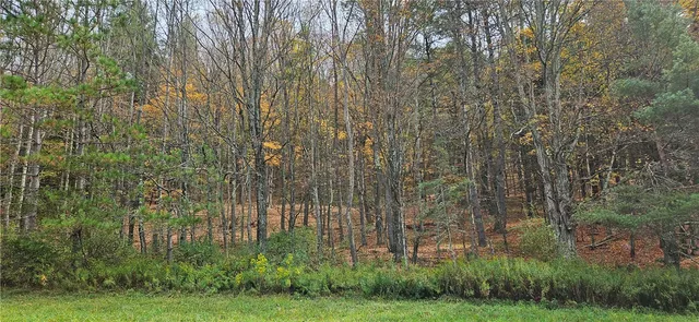 $339,000 | 161 Montgomery Hollow Road, Roxbury, NY 12474