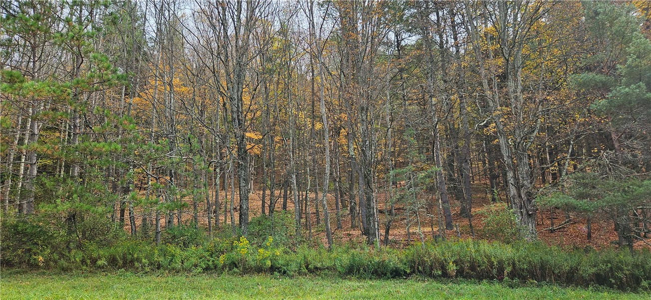 161 Montgomery Hollow Road Roxbury, NY 12474 - Photo 15 of 20