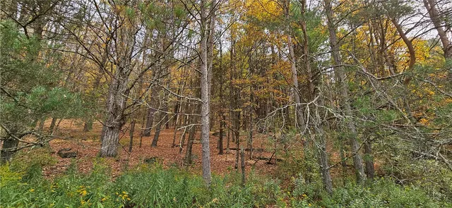 $339,000 | 161 Montgomery Hollow Road, Roxbury, NY 12474