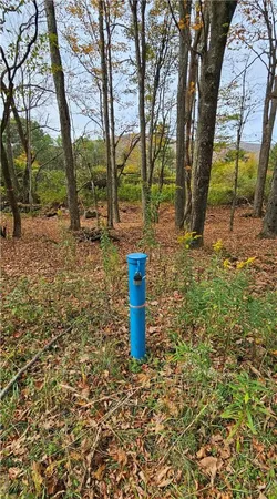 $339,000 | 161 Montgomery Hollow Road, Roxbury, NY 12474