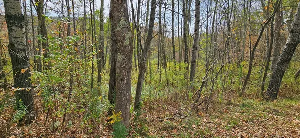 $339,000 | 161 Montgomery Hollow Road, Roxbury, NY 12474