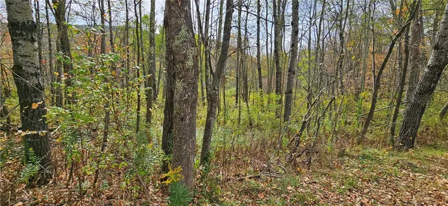 $339,000 | 161 Montgomery Hollow Road, Roxbury, NY 12474